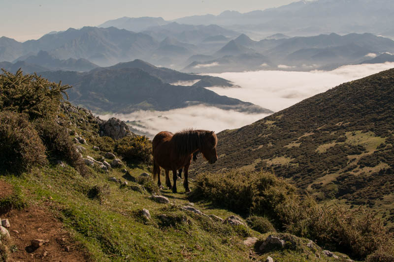 ruta senderismo asturias pico pienzu
