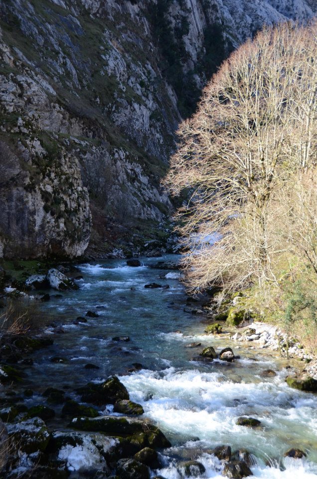 10 rutas otoñales para hacer en Asturias: paisajes, dificultad y consejos prácticos