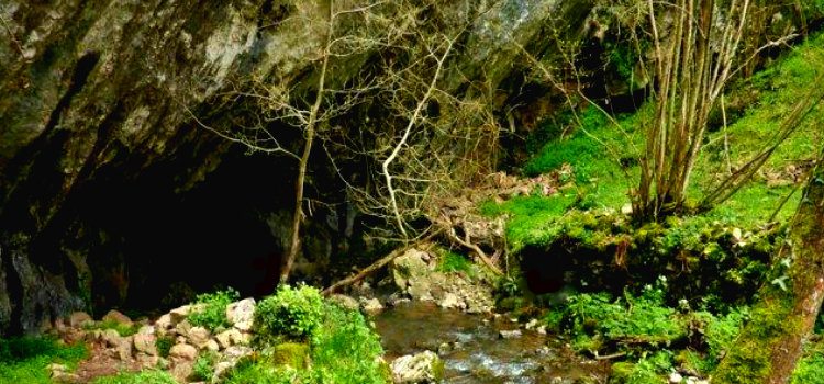 tuas otoño asturias