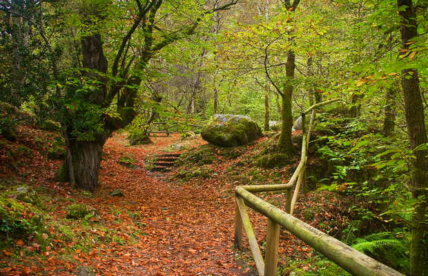 rutas otoño asturias